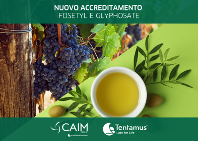 img nuovo accreditamento caim