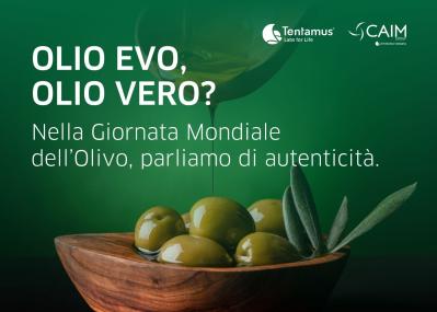 Imag NEWS giornata mondiale olivo CAIM
